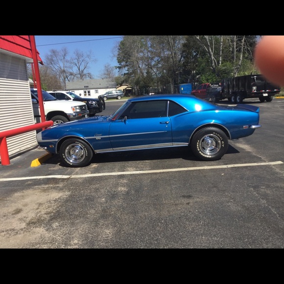 Meet your Posher, Joey - Picture 1 of 1